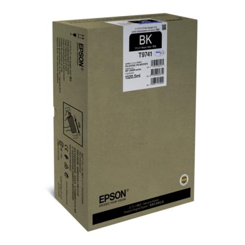 Epson spausdinimo kasetė juoda (C13T974100 / T9741)